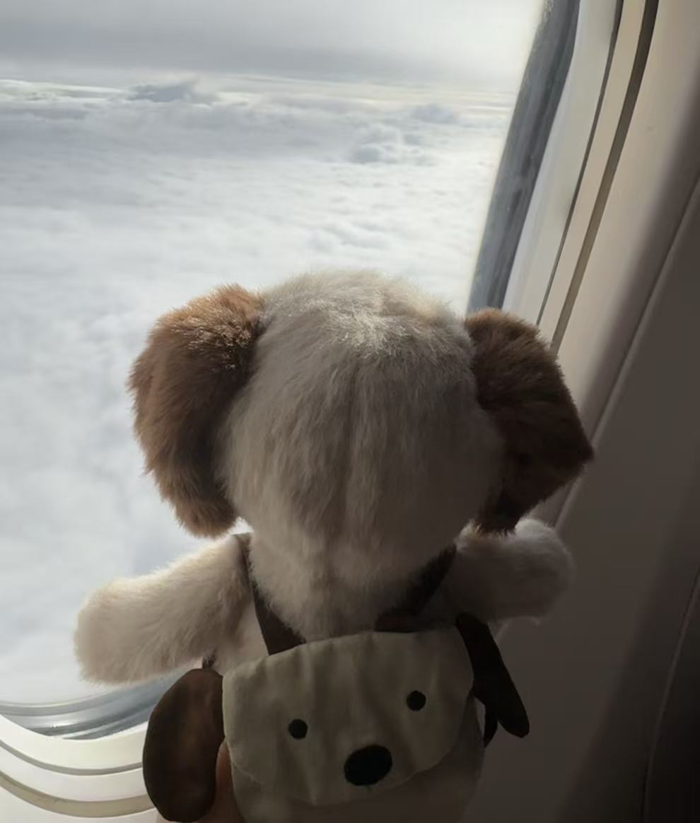 Jellycat - Backpack Puppy
